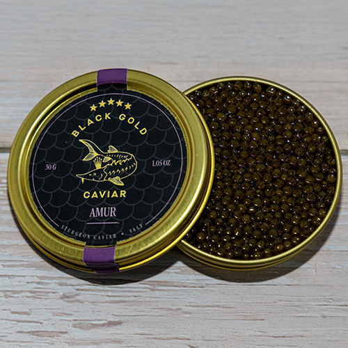 AMUR